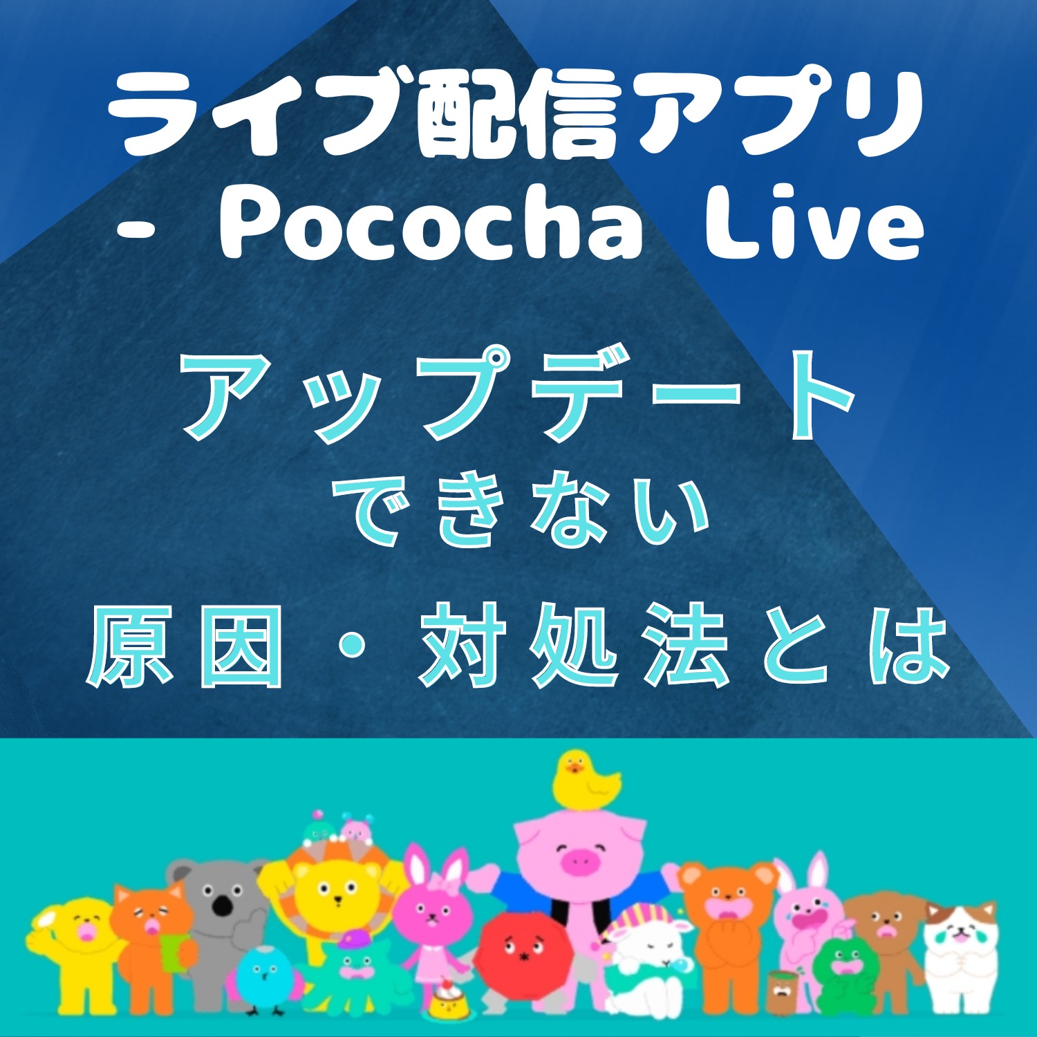 ライブ配信アプリ - Pococha Liveがアップデートできない原因と対処法とは #ライブ配信アプリ - Pococha Live